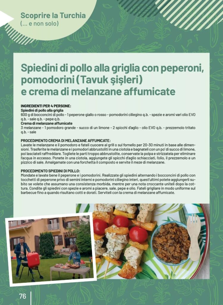 Dreamers Magazine N.6 - Barbecue alla turca Spiedini di pollo alla griglia con peperoni, pomodorini (Tavuk şişleri) e crema di melanzane affumicate